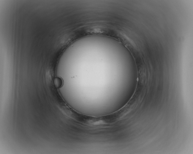 X0000111500747200907211030