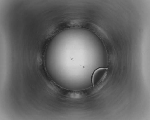 X0000111500751200907211030