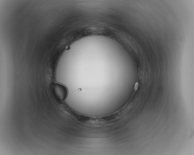 X0000111500752200907211030