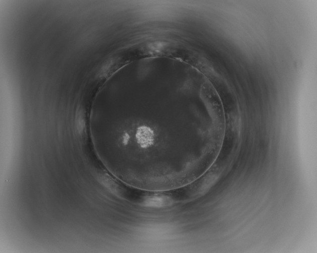 X0000111500754200907211030