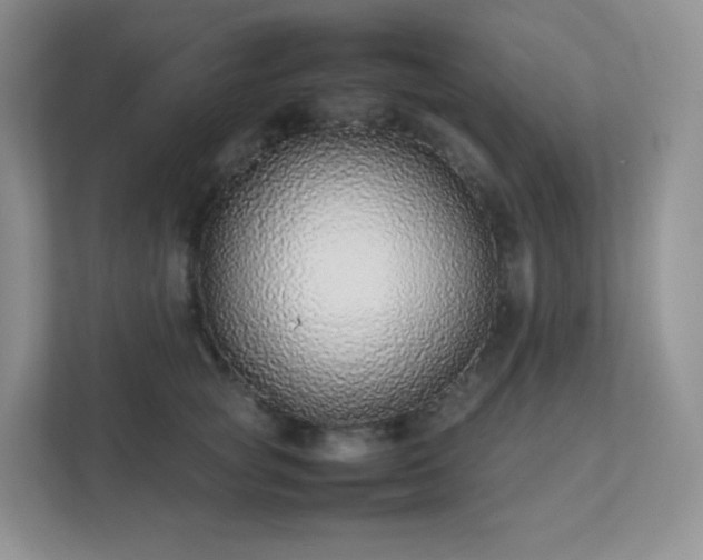 X0000111500757200907211030