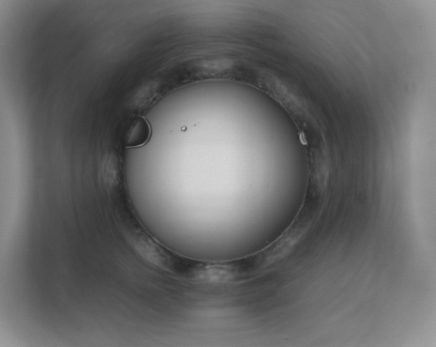 X0000111500758200907211030