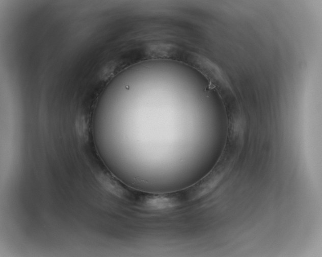 X0000111500759200907211030