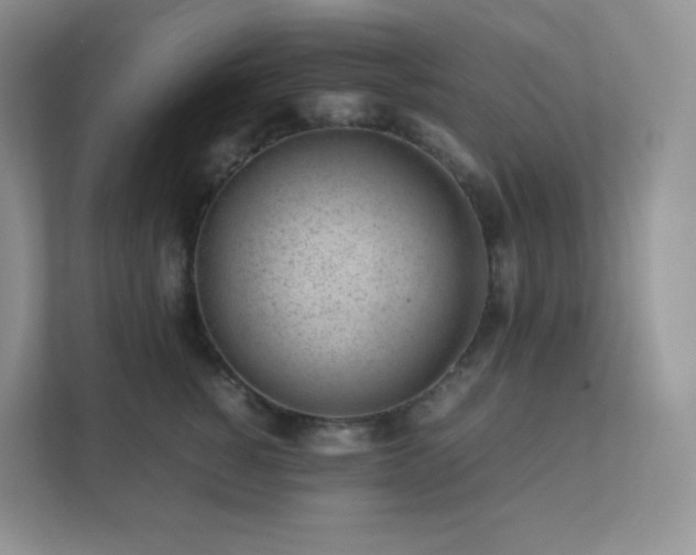 X0000111500760200907211030