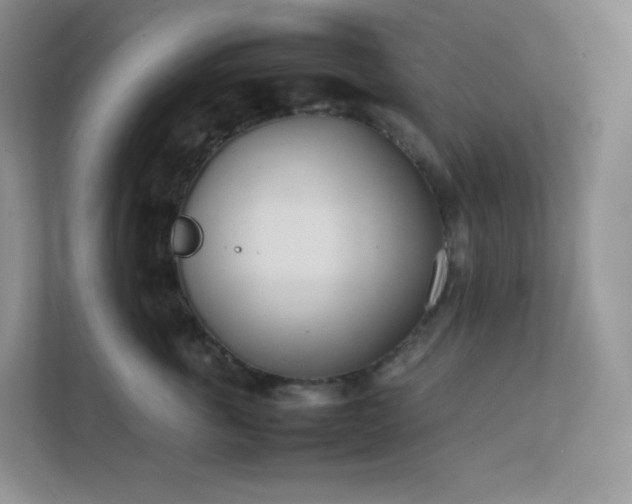 X0000111500763200907211030