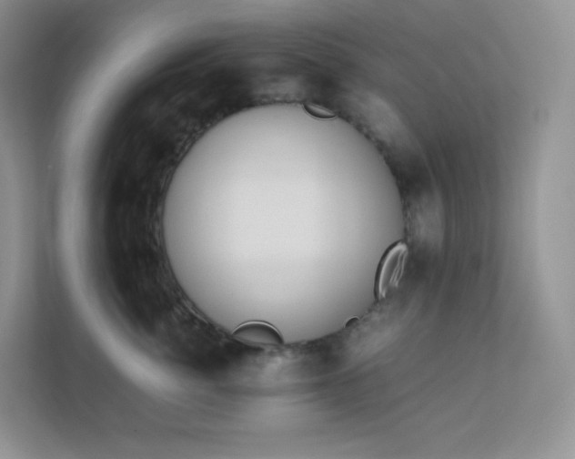 X0000111500764200907211030