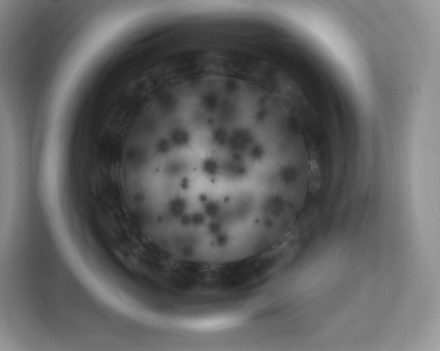 X0000111500765200907211030