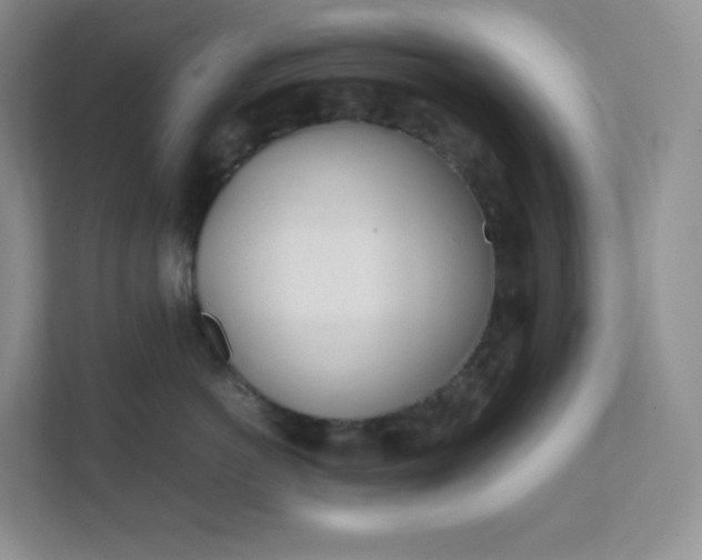 X0000111500766200907211030