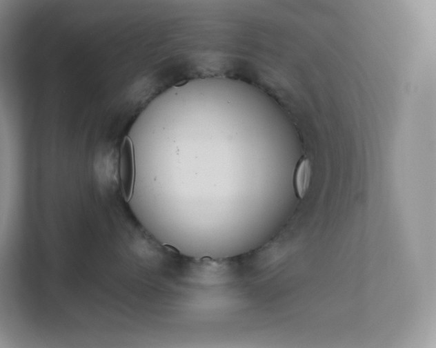 X0000111500768200907211030