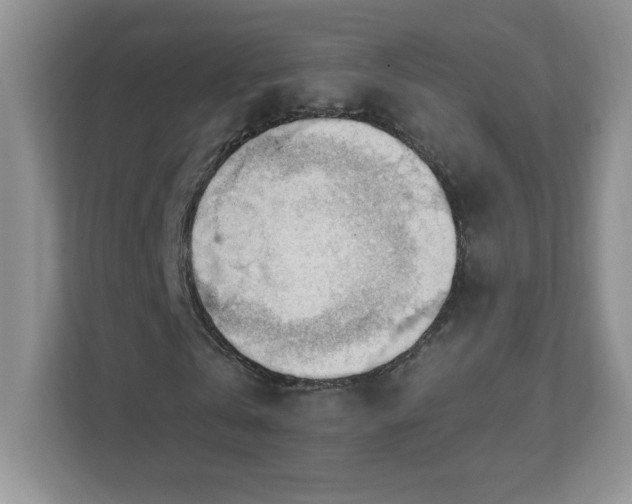 X0000111500769200907211030