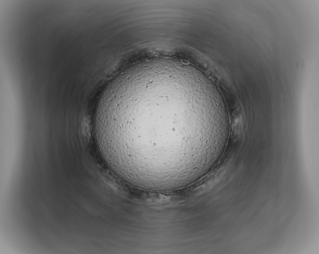 X0000111500772200907211030