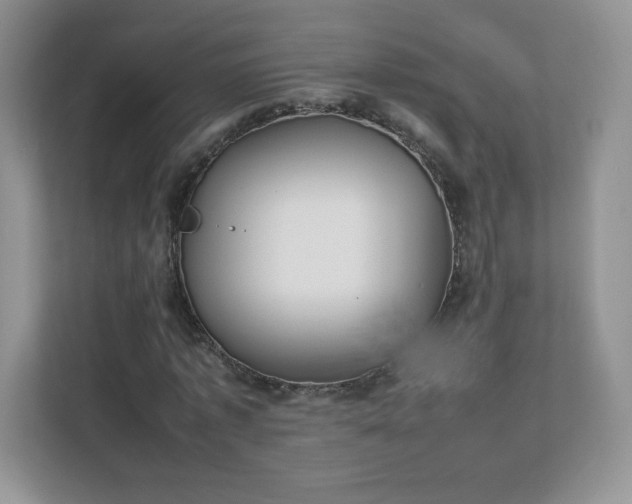 X0000111500773200907211030