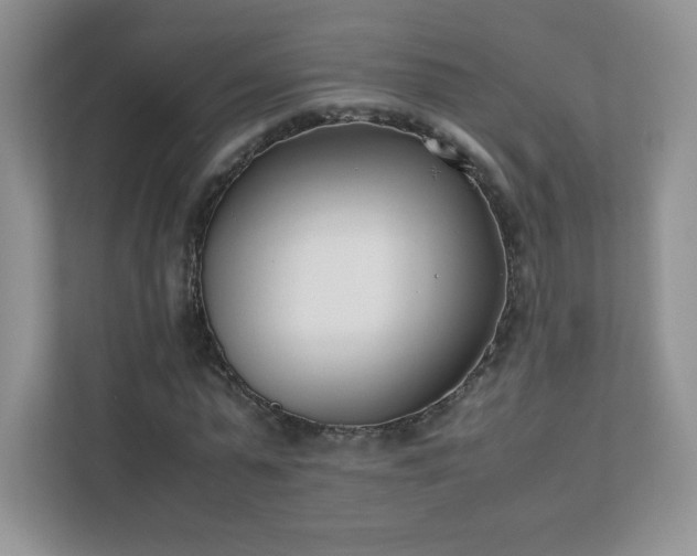 X0000111500775200907211030