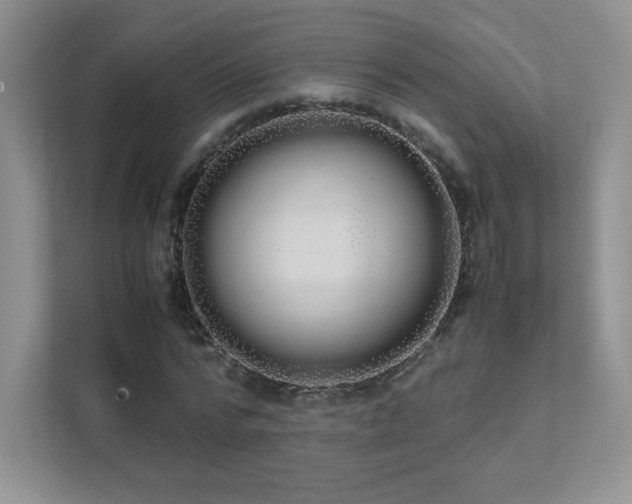 X0000111500776200907211029