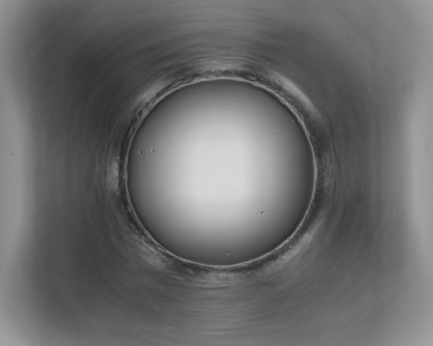 X0000111500777200907211029