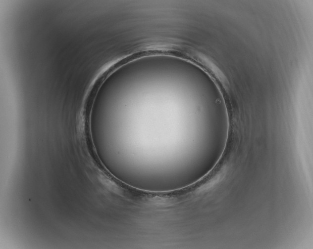 X0000111500779200907211029