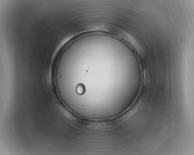 X0000111500780200907211029