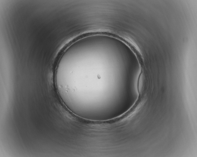 X0000111500781200907211029