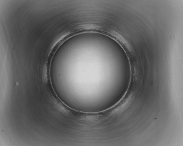 X0000111500782200907211029