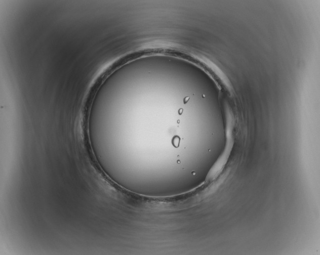 X0000111500783200907211029