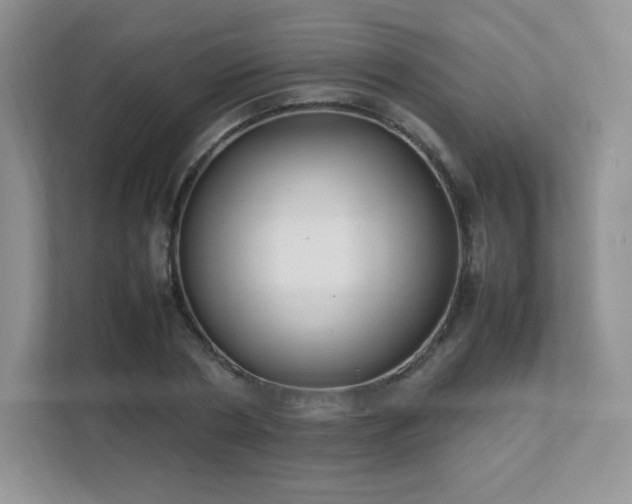 X0000111500786200907211029