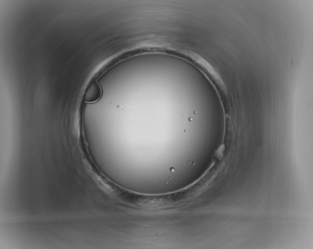 X0000111500791200907211029