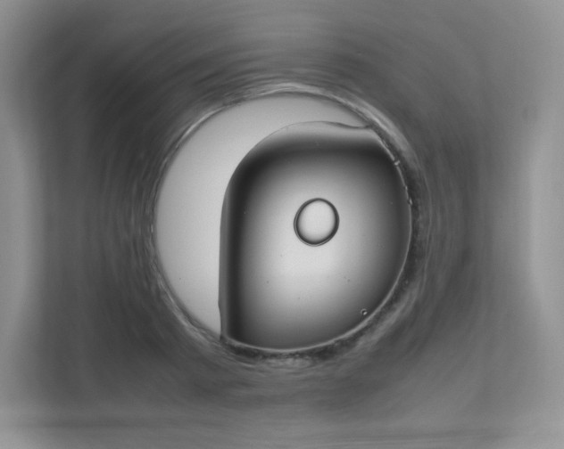 X0000111500793200907211029