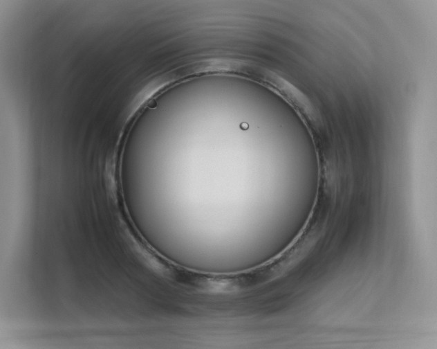 X0000111500794200907211029