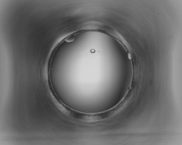 X0000111500795200907211029