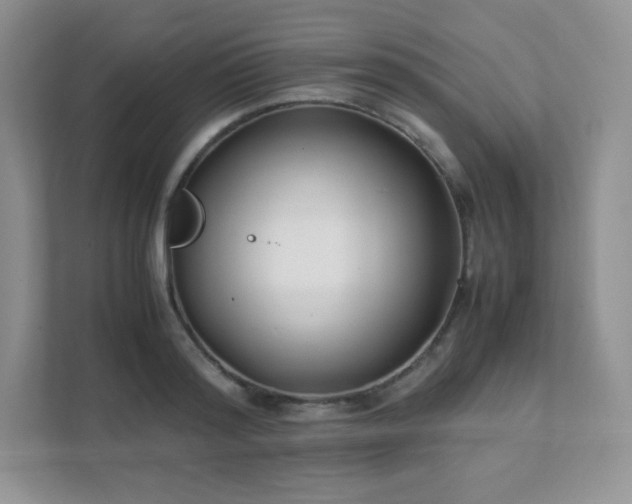 X0000111500796200907211029