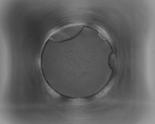 X0000111500797200907211029