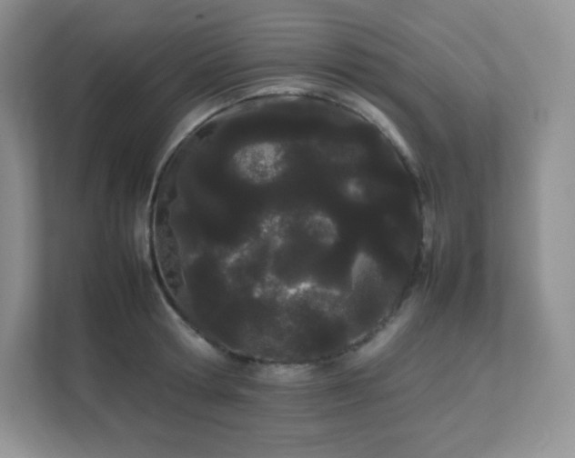 X0000111500802200907211029