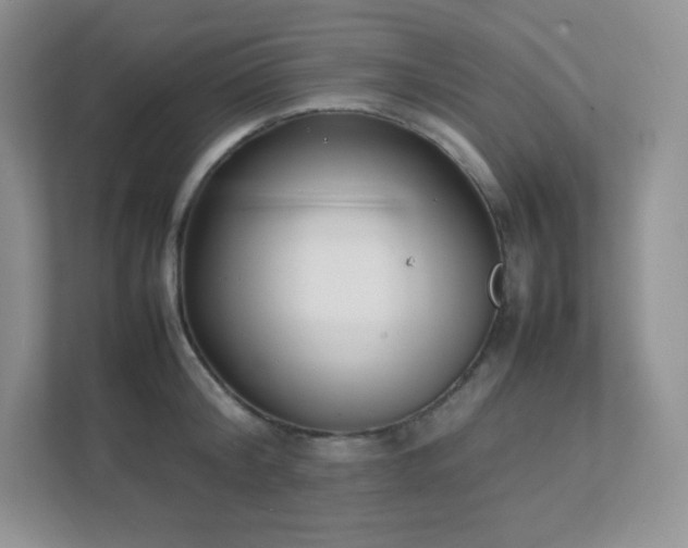 X0000111500804200907211029