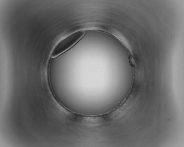 X0000111500805200907211029