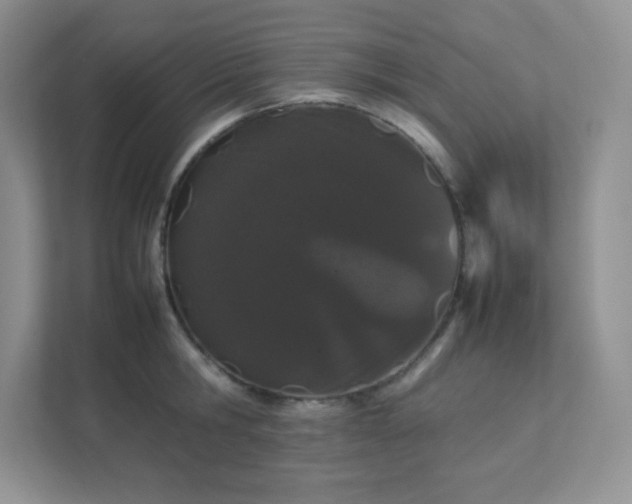 X0000111500806200907211029