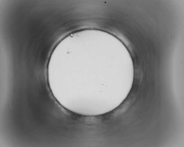 X0000111500807200907211029