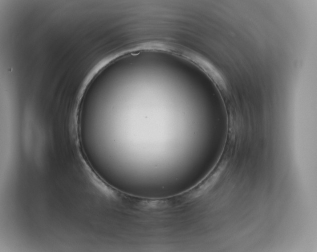 X0000111500808200907211029