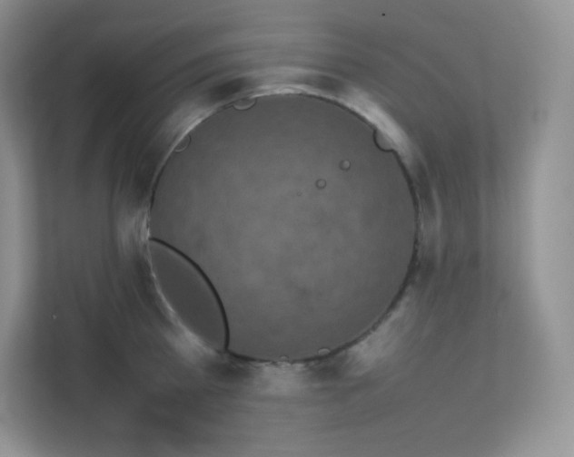 X0000111500809200907211029