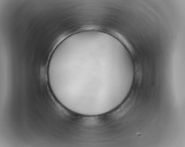 X0000111500810200907211029