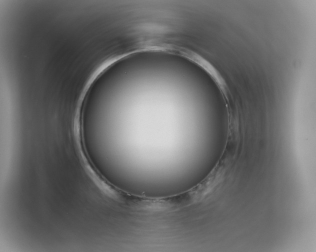 X0000111500811200907211029