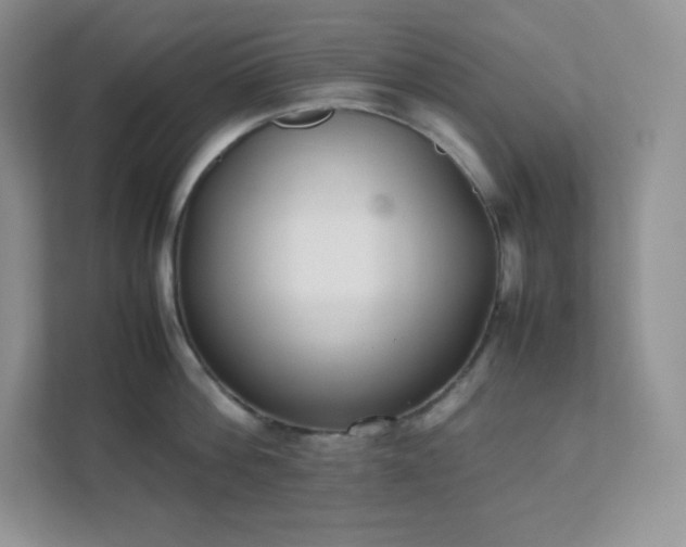 X0000111500812200907211029