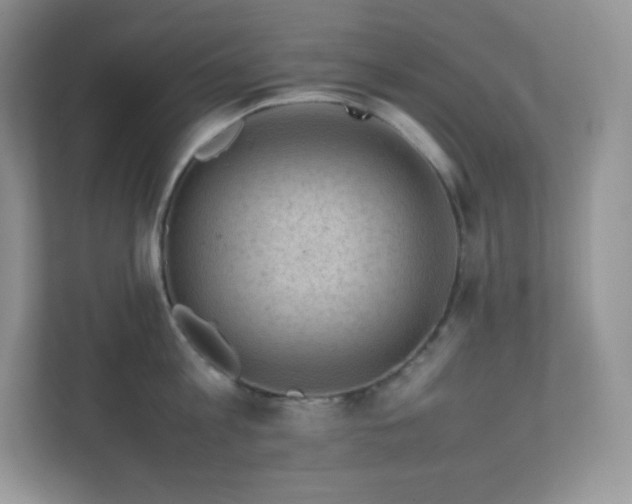 X0000111500813200907211029