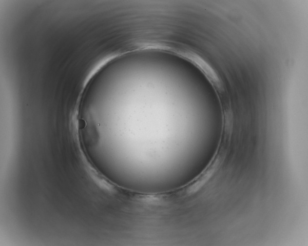 X0000111500814200907211029