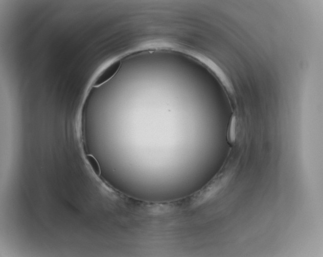 X0000111500815200907211029