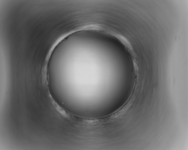 X0000111500816200907211029