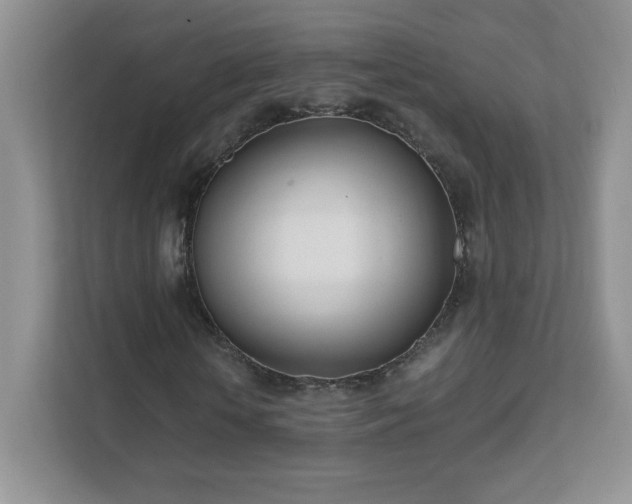 X0000111500818200907211028