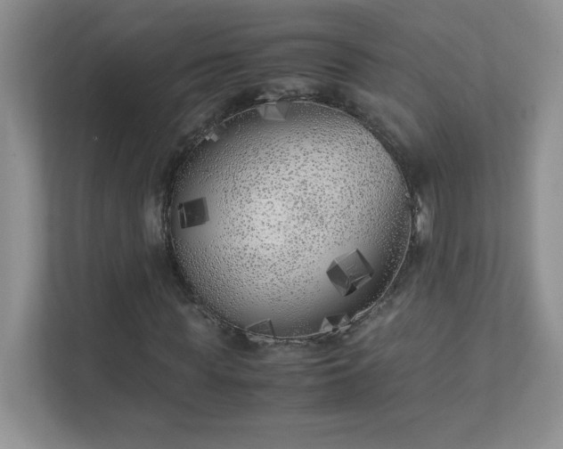 X0000111500819200907211028