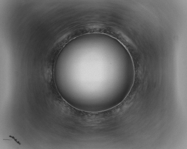 X0000111500821200907211028