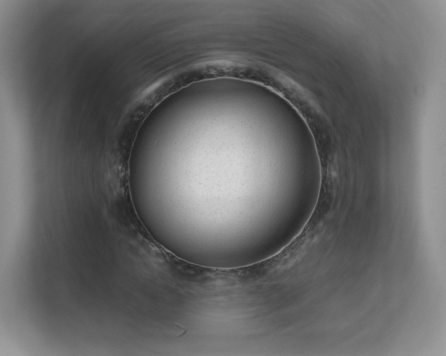 X0000111500822200907211028