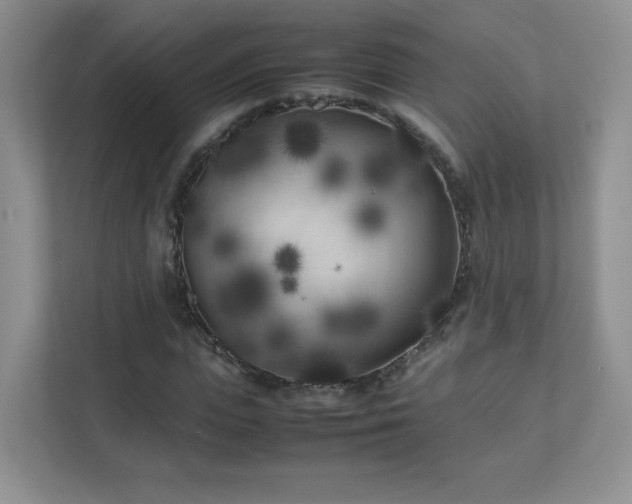 X0000111500823200907211028